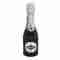 Asti Martini 200ml