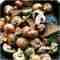 Mushrooms saute